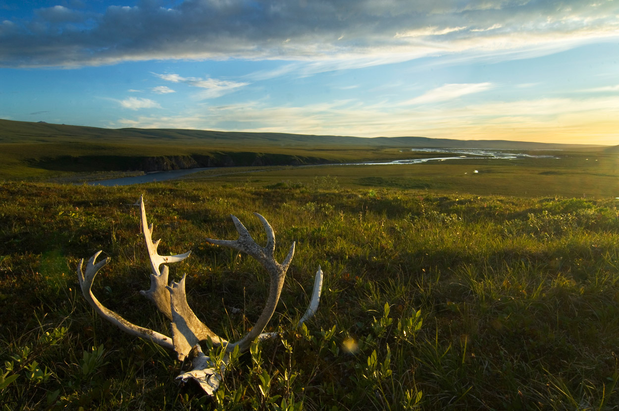 Arctic National Wildlife Refuge Trips Anwr Tours Alaska Arctic Refuge