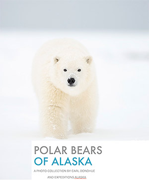 Polar bears of Alaska ebook button