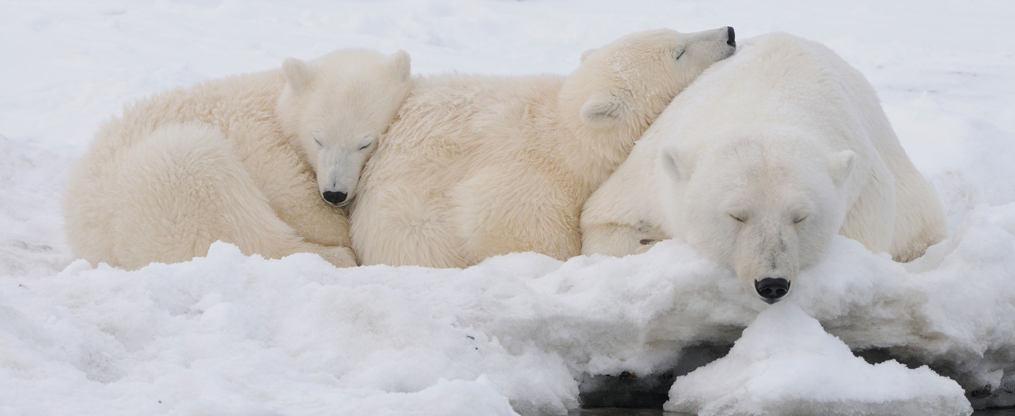 Alaska Photo Tours | Photography Trips | Alaska Photography Workshops