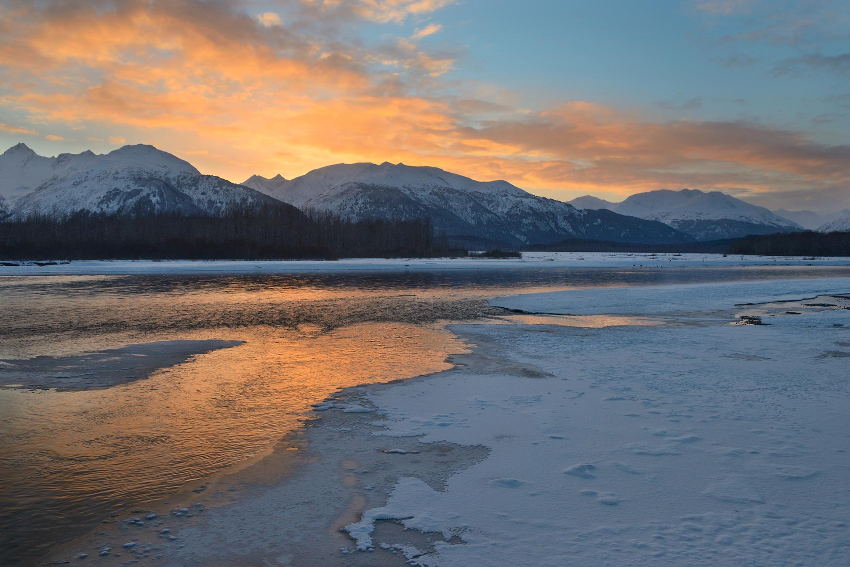 Haines Alaska Tours Chilkat River and Southeast Alaska Tours