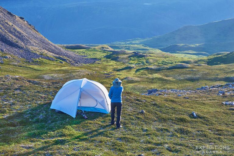 Denali national 2025 park backpacking