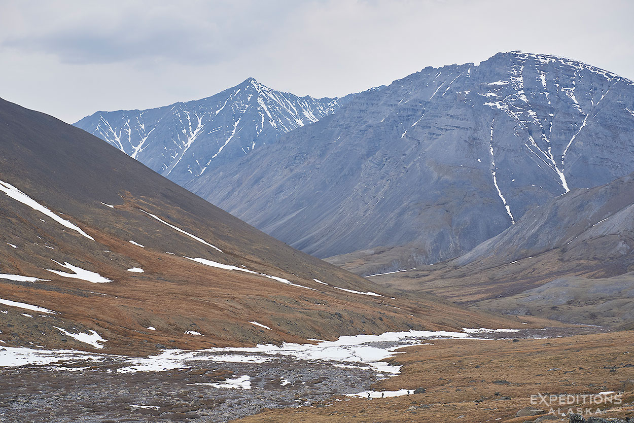 Arctic National Wildlife Refuge guided backpacking trips